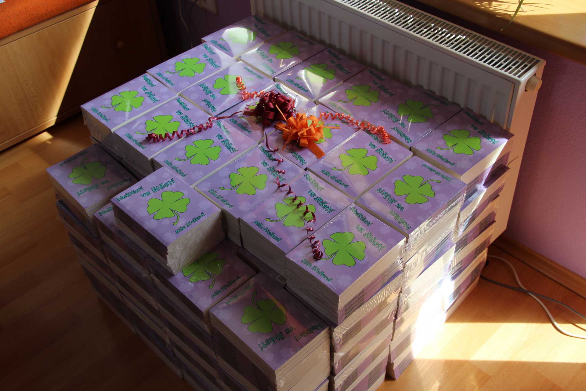 Neštěstí ve štěstí - Míša Gřešková