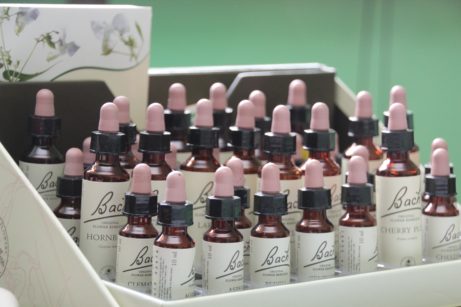 Bachovy esence Kája Gřešková